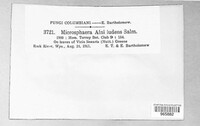 Image Associated With the Occurence
